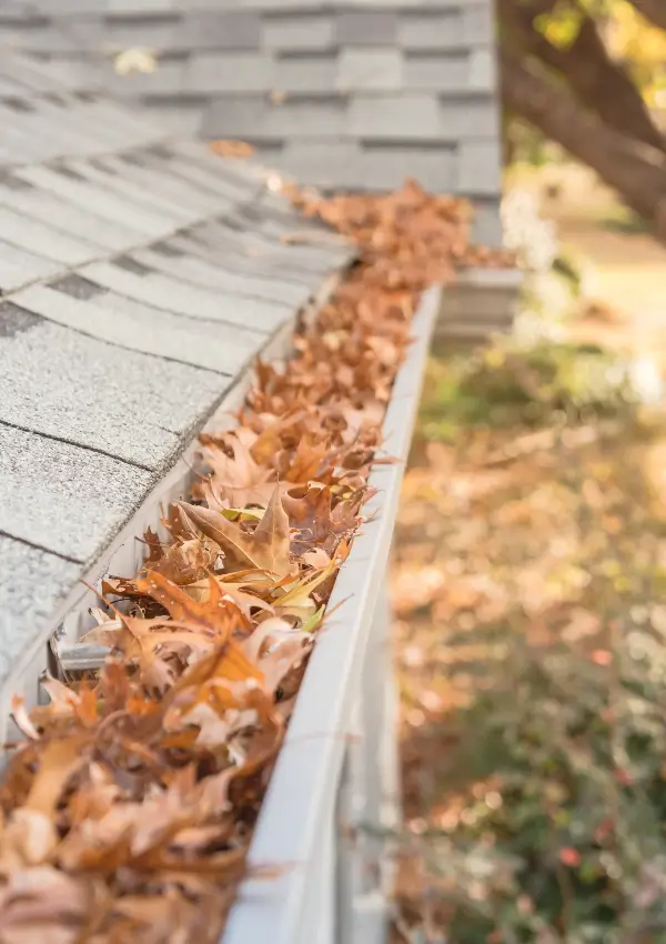tsunami gutter cleaning in hoover al tsunami gutter cleaning in hoover al