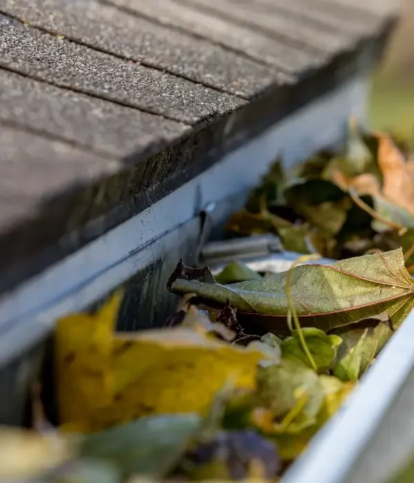 affordable gutter cleaning near me