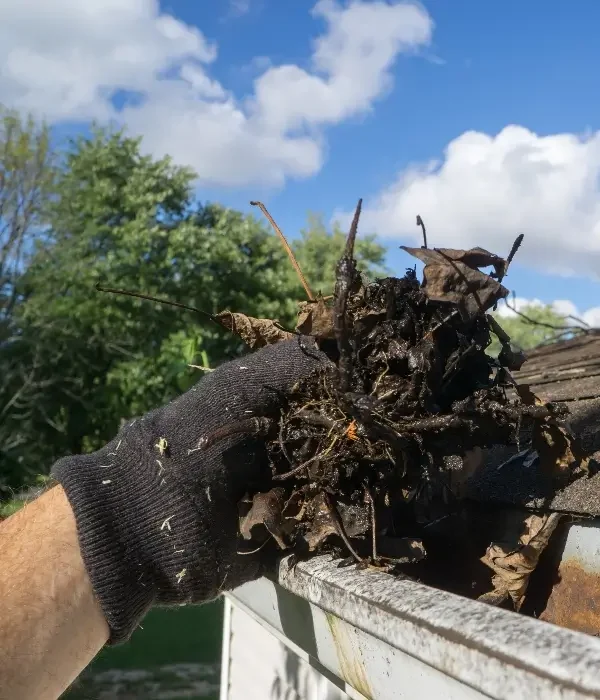 gutter maintenance that keeps your home looking its best