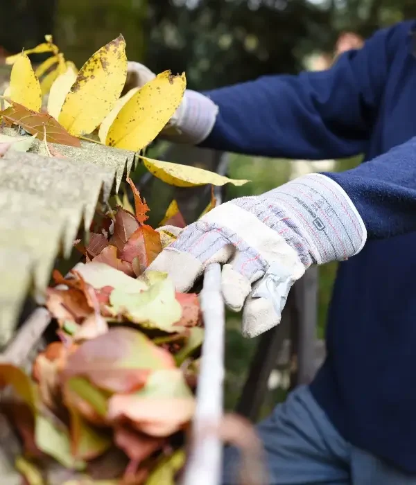 professional gutter cleaning services in hoover al